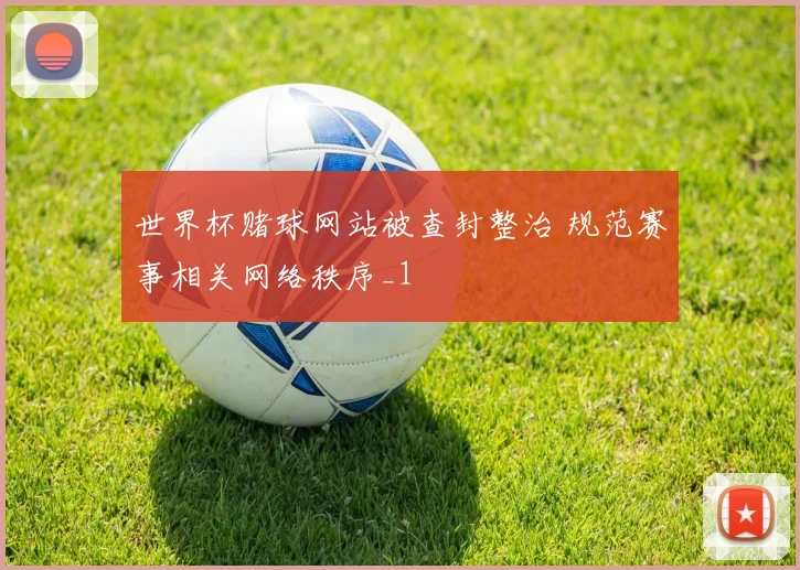 世界杯赌球网站被查封整治 规范赛事相关网络秩序_1