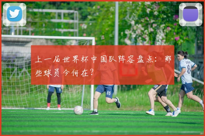上一届世界杯中国队阵容盘点:那些球员今何在?