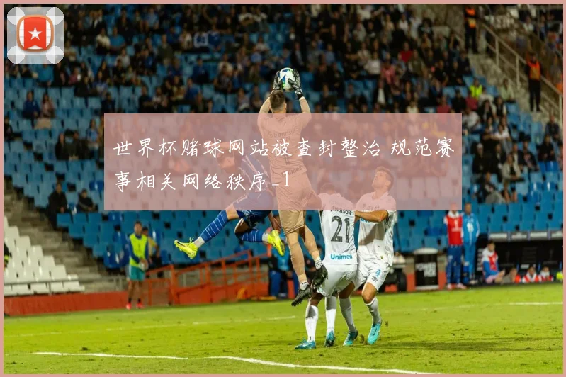 世界杯赌球网站被查封整治 规范赛事相关网络秩序_1